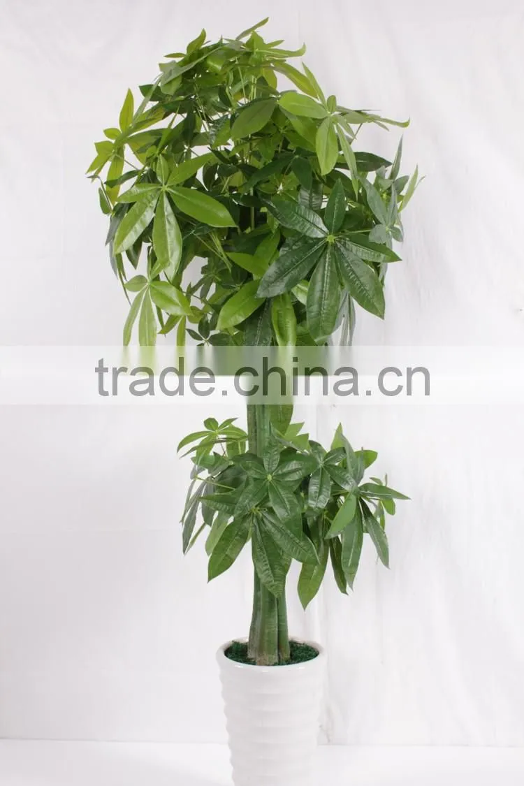 China hot sale evergreen fake money tree ,artificial Pachira