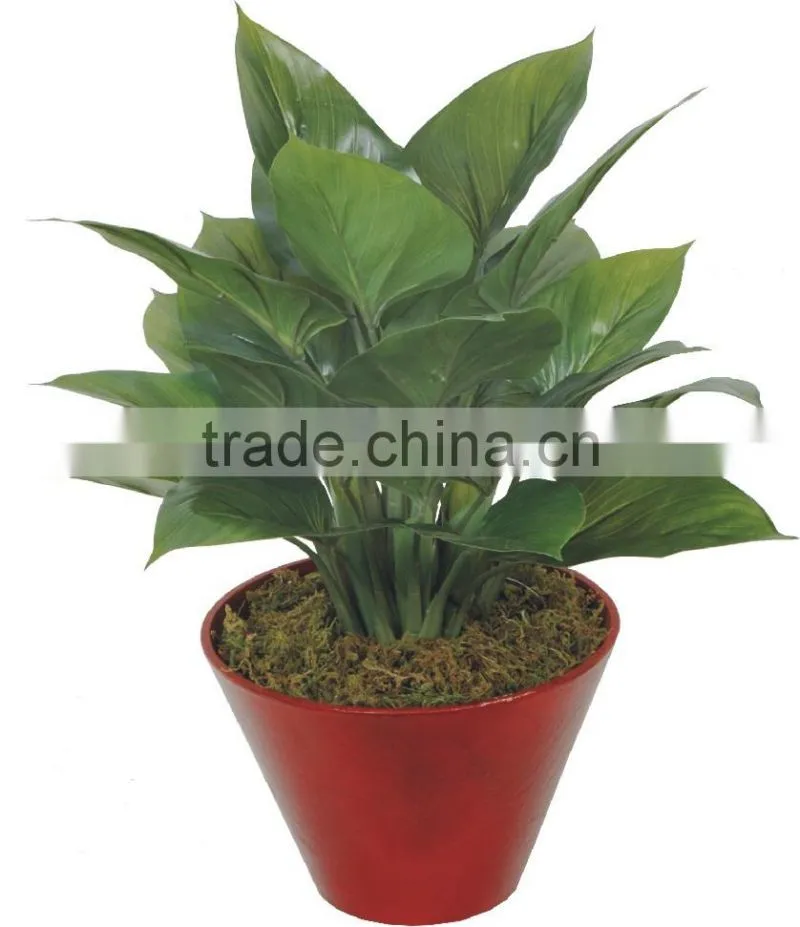 artificial green bonsai Heart fat yellow iron WB19-13J-YL2# ( plant bonsai flower tree of Este )