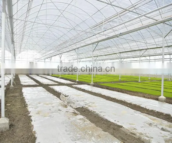 vegetable seeds greenhouse