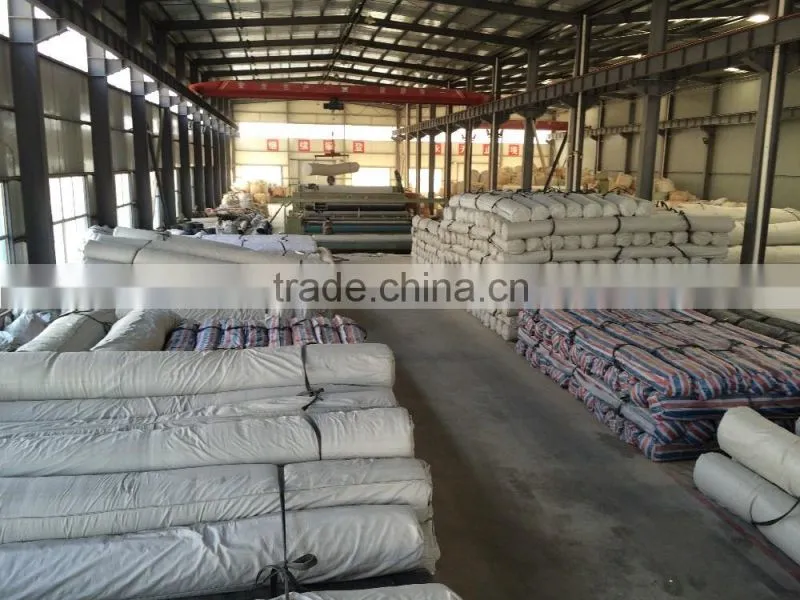 Geosynthetic clay liner