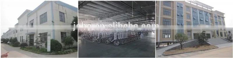2 wheel electric scooter JB50-P