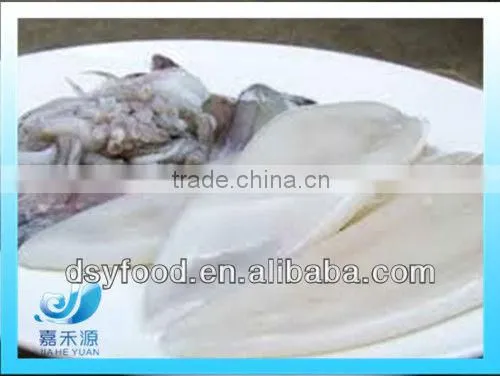 Frozen Squid after cleaning