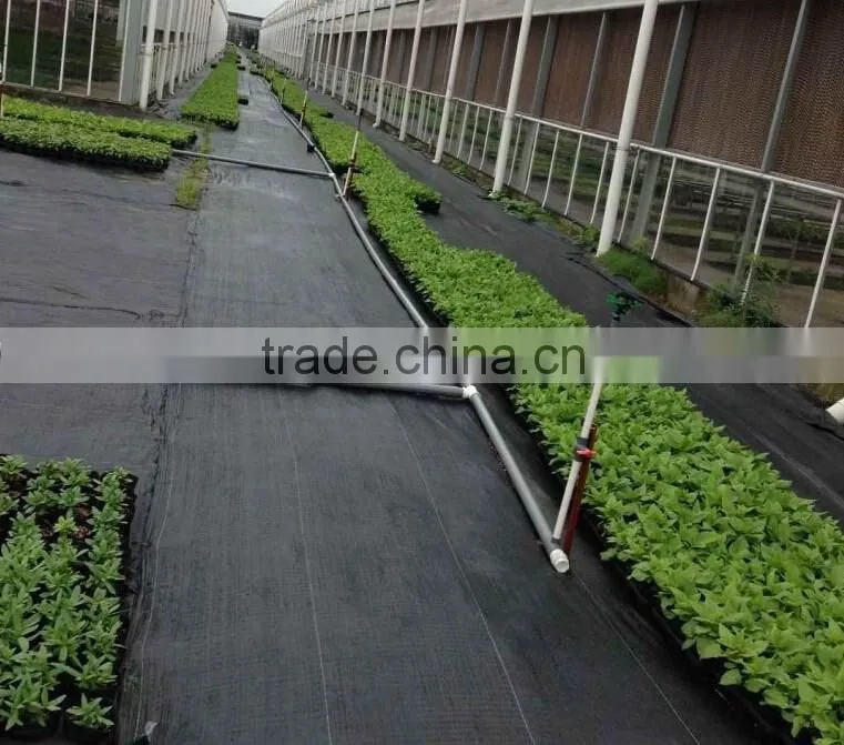China top leading woven fabric factory 100% virgin material with uv additive for anti grass control fabric tarpaulin weed mat