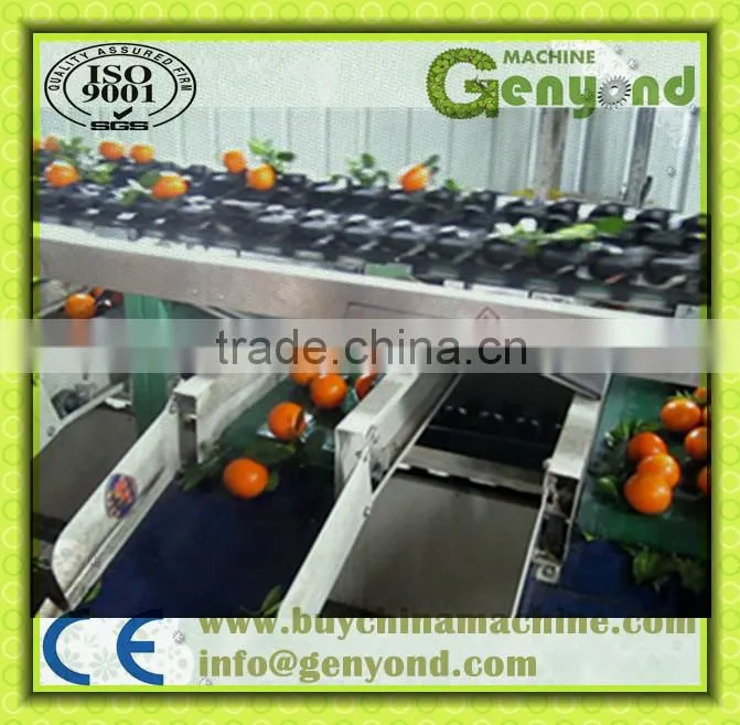 vertical fruit grading machine