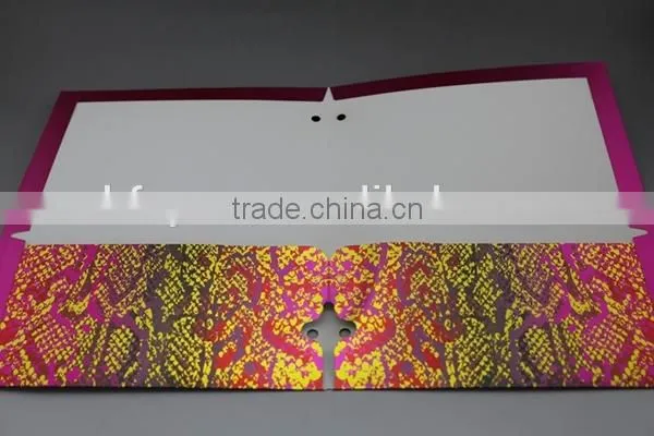 Two Pocket Paper Folder,wholesale file folder