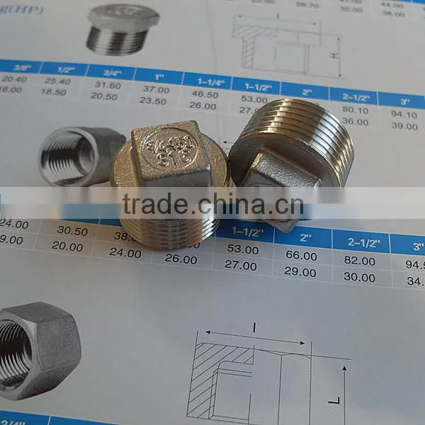 type ss316 stainless steel square plug pipe fitting