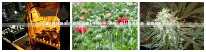 100w Hydroponic Growing Plant Induction Grow Lamp