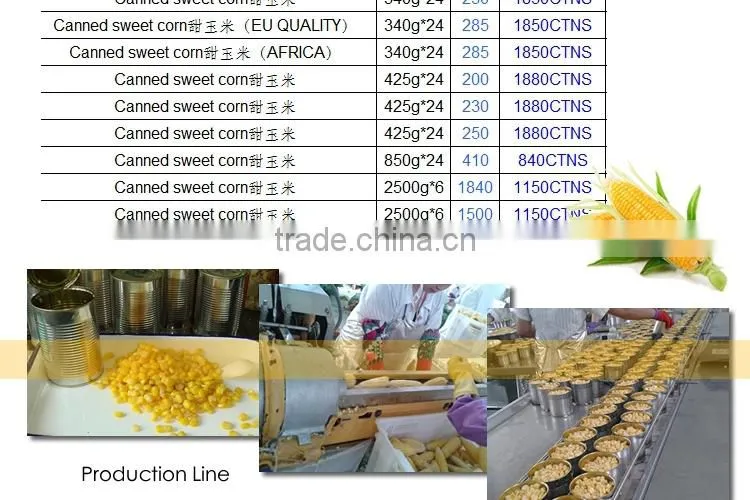 CANNED SWEET CORN HIGH QUALITY super sweet canned food NO GMO TAIWAN yellow corn raw material