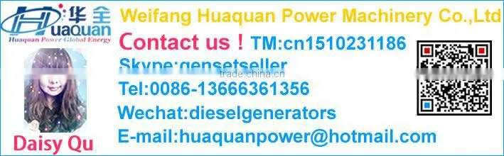 china famous brand weifang ricardo 3 phase 100kva diesel generator in labanon