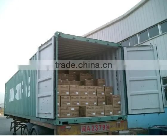 china petrol generator