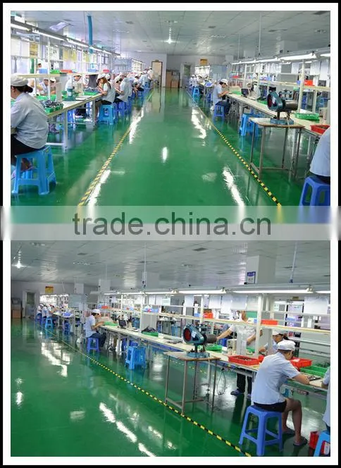 DC electric diaphragm Carbon Brush water Pump Long Lifetime Liquid Pump manufacturer