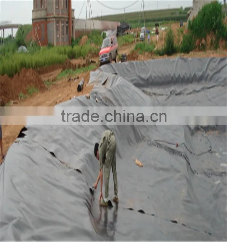 Fish Pond Liner
