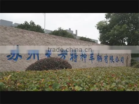 Suzhou Dafang Special Vehicle Co., Ltd. company overview - view 1