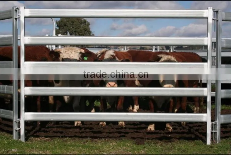 High quality galvinized cattle panels for sale
