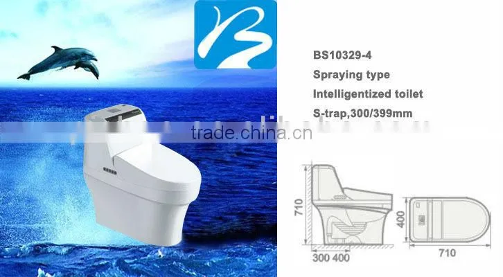 Indian Intelligent Toilet