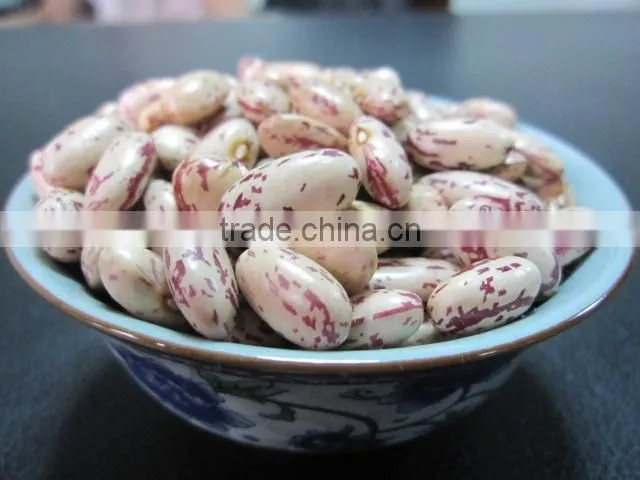 Light Speckled Kidney Bean 2010 long shape