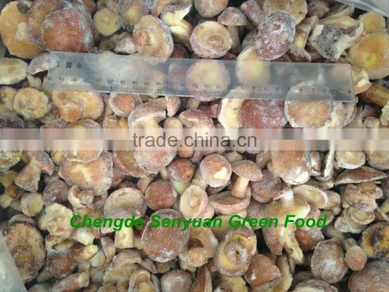 IQF suillus granulatus