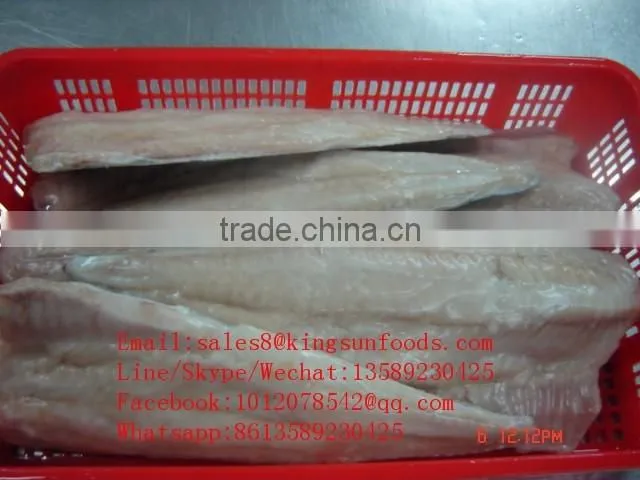cheap wholesale Light salted seafood saithe fillet on hot sale for market
