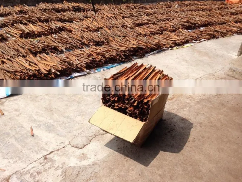 SPLIT CASSIA HIGH STANDARD