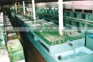 Aquamarines International (pvt) Ltd company overview - view 2