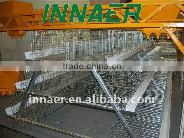 Layers/broilers automatic chicken feeding equipment