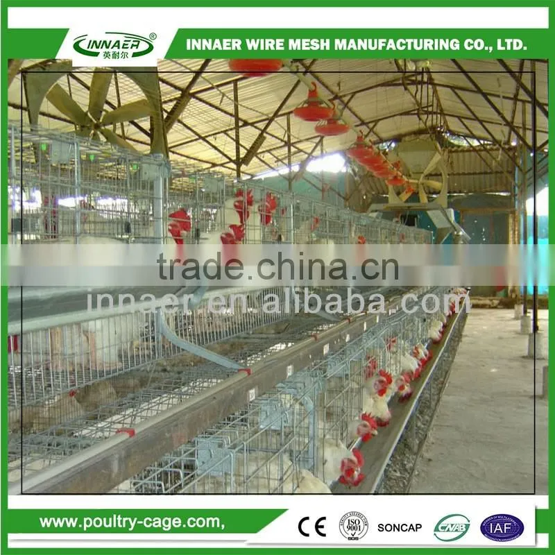 China wholesale custom cages for broiler chicken
