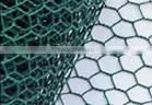 Galvanized Hexagonal Wire mesh