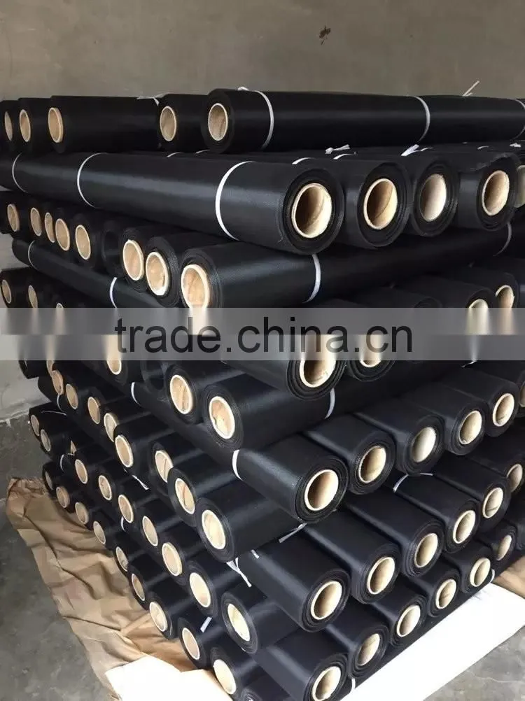 Premium quality black coated wire mesh/black coated ss wire mesh for window