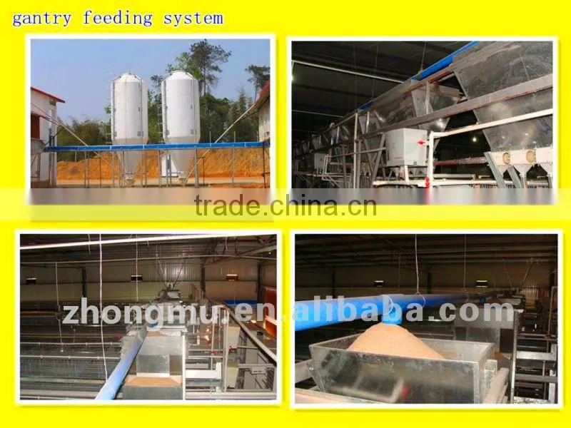 a type chicken cage chicken layer cage