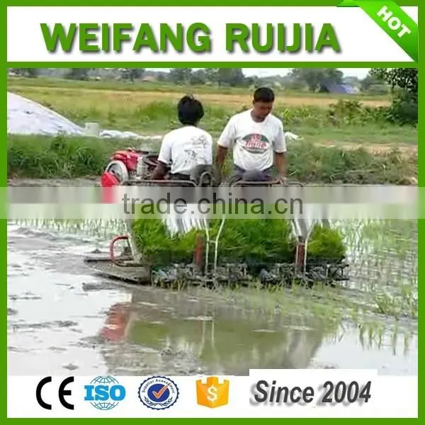 8 rows 238mm Electric Key start Rice Transplanter with hydraulic device and cheaper rice transplanter price