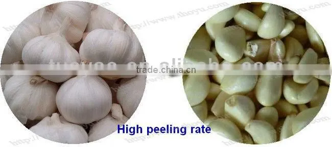 professional garlic peeling machine