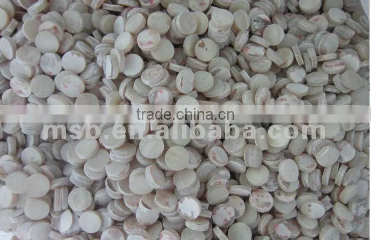 natural trocas/trochus shell button blank for shirt button making