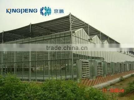 Greenhouse of polycarbonate sheet