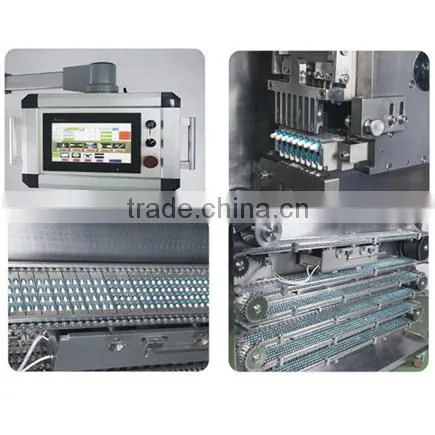 NSF-600 High Quality Hard Capsule Sizing Treatment Sealing Machine