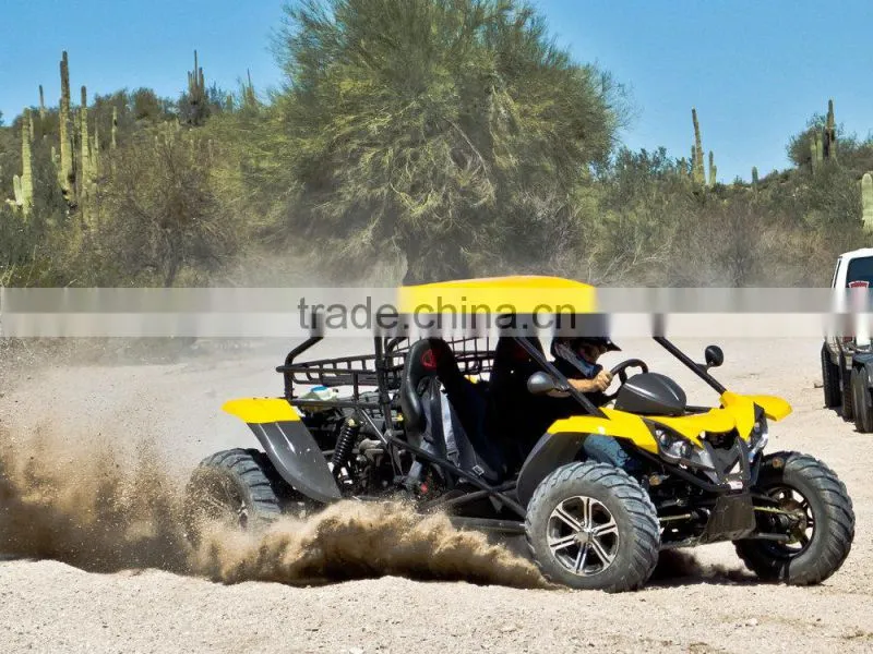 renli 1100cc desert cart from China