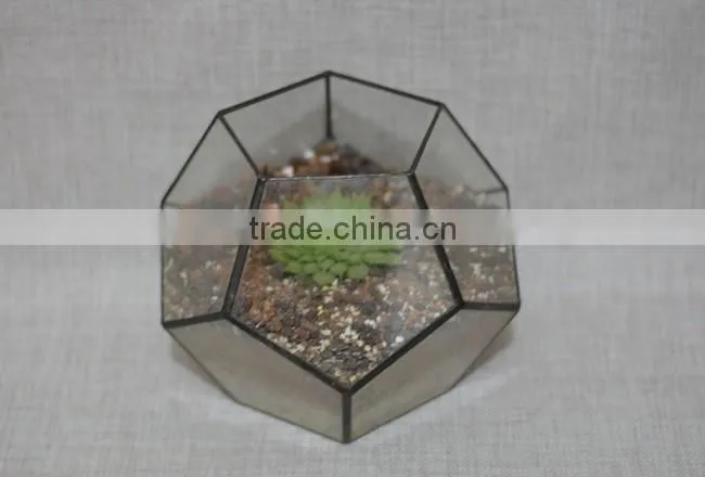 Attractive indoor decor glass flower vase clear glass terrarium globe