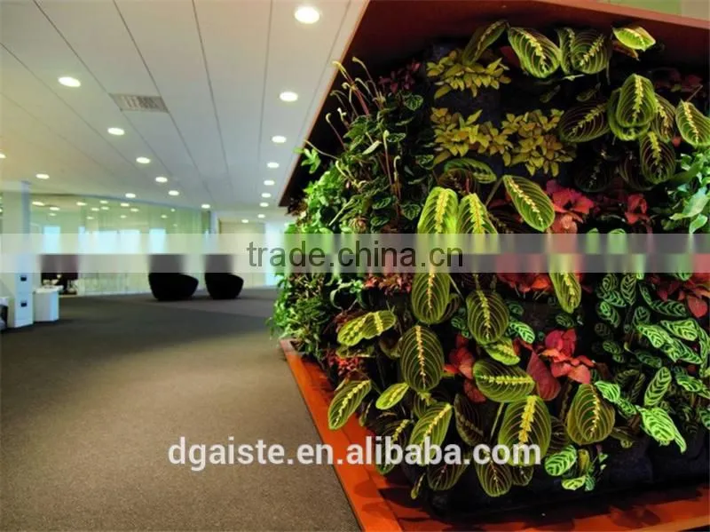 indoor green wall succulent plant or leafy plant combination with the soft foam backing