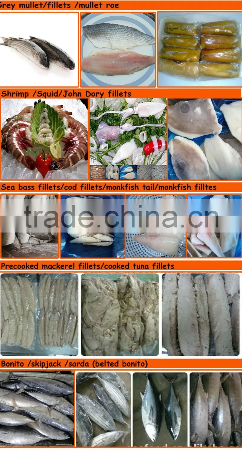 land frozen grey mullet fillet ,skin-on,boneless IQF processing