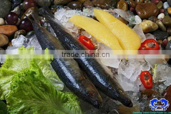 seafood frozen atlantic herring fillet IQF