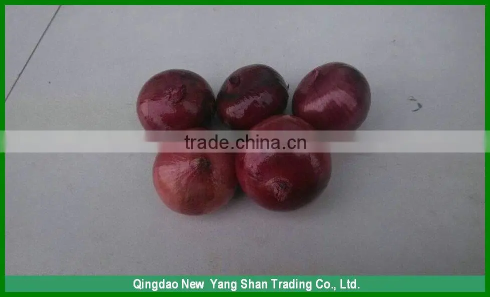 Mesh bag/carton packaging red one onion prices