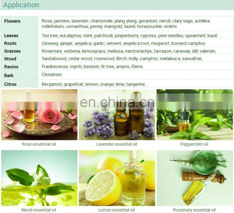100L - 500L honeysuckle plant flower leaf essential oil extractor extraction machine essential oil distillation equipment