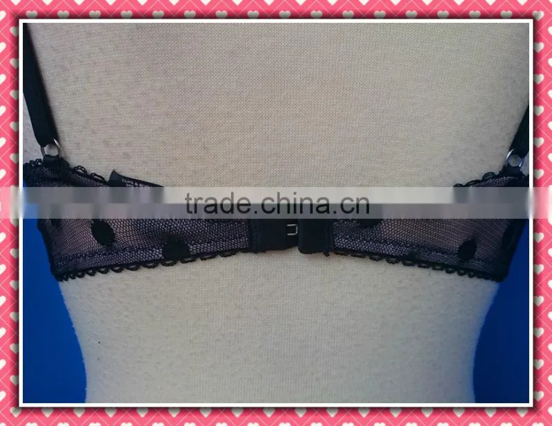 Sexy Lingerie, Sexy Apron