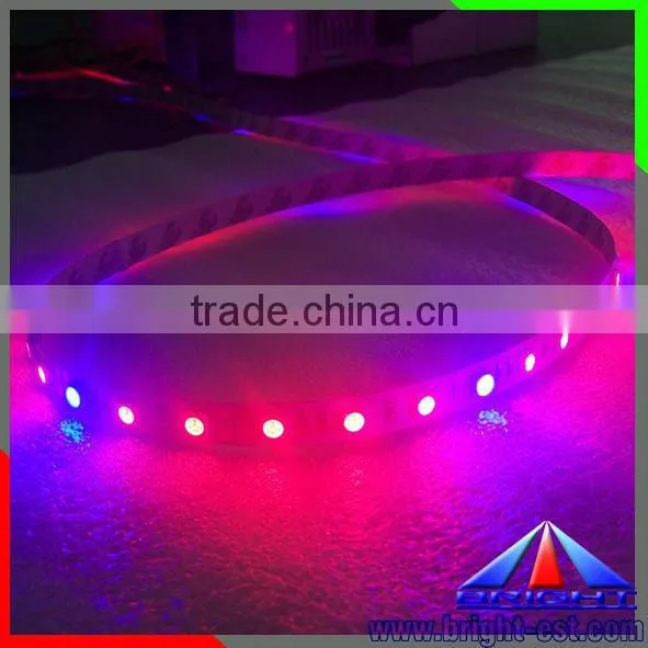 Red and Blue Color Grow Light Flexible Led SMD 5050