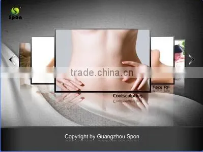 2013 Famous sculpting freezing fat loss & Cryo lipo laser slimming machine