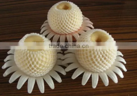 foam net fruit package for Hami melon