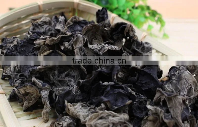 Dry Black Fungus Mushroom