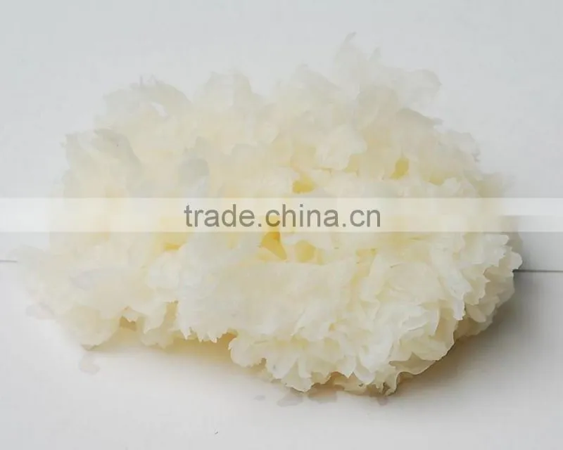 Top Quality Tremella Chinese White Fungus