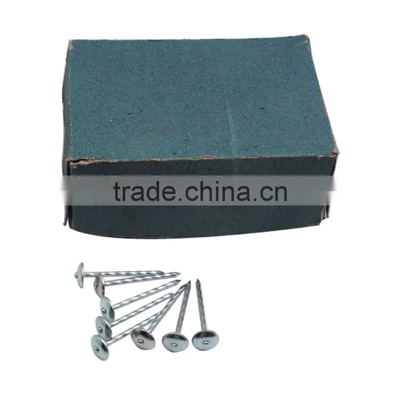 Hot sale e-galvanized umbrella head roofing nails export to Africa