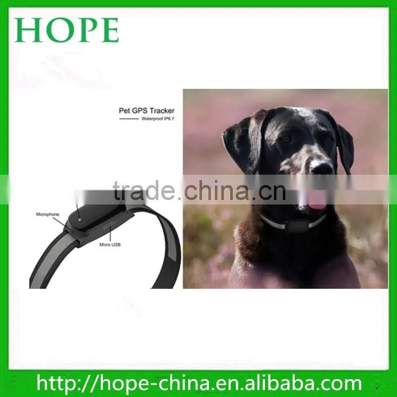 Waterproof IP67 gps cat collar,gps dog,tracker gps for dog