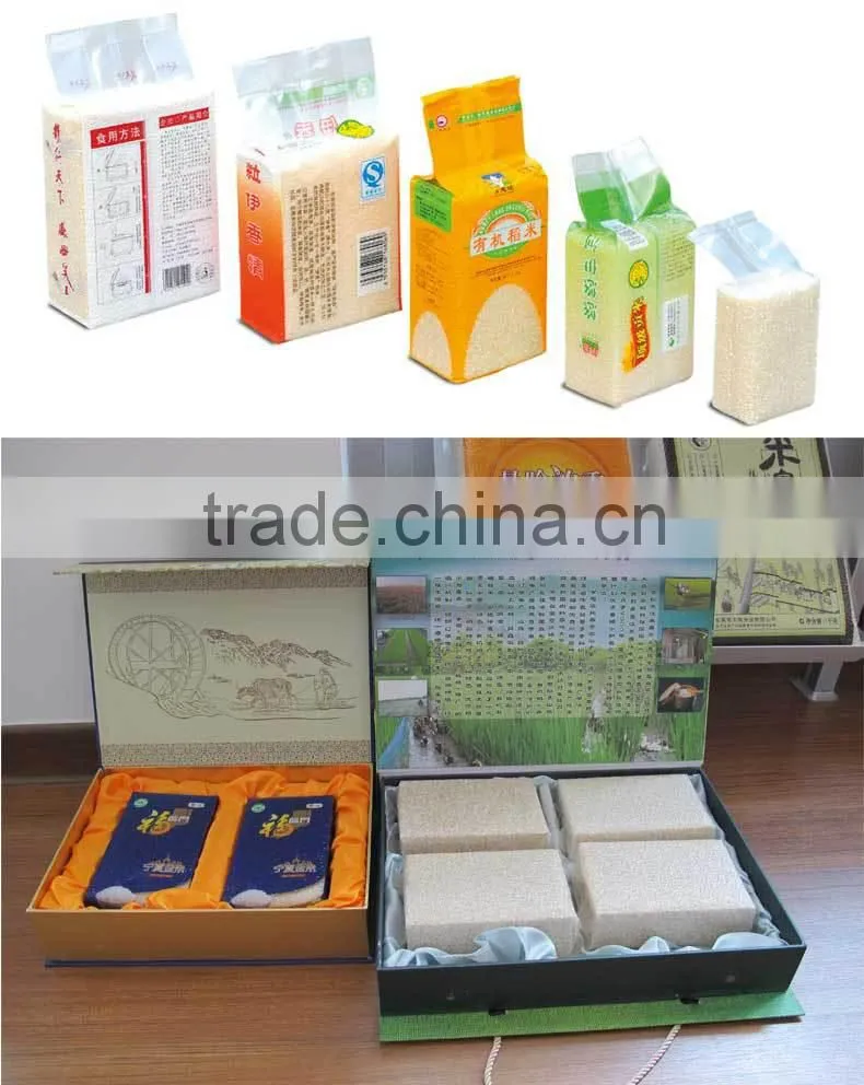 LZB-M6 cube shape vacuum packing machine
